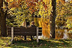 Relax by G&A Scholiers, showing beautiful autumn colours