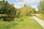 Abbey Meadows in Thetford