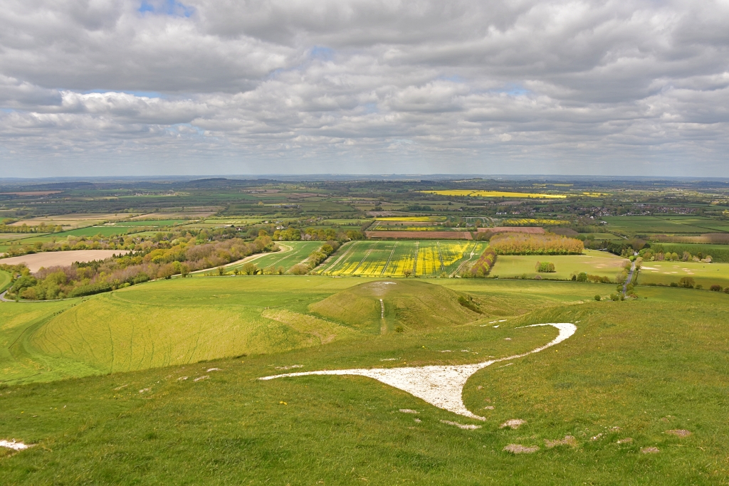 View from Uffington White Horse to Dragon Hill