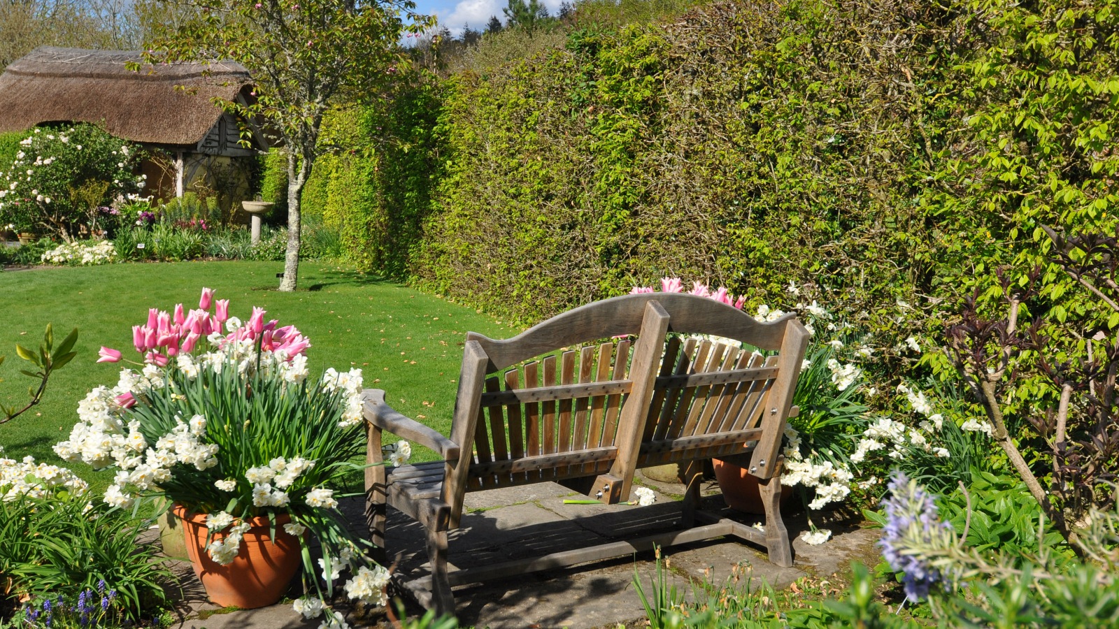 RHS Rosemoor Gardens