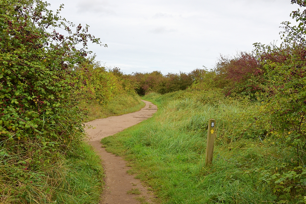 Norfolk Coast Path Joining the Stiffkey Whirlygig Runway