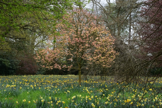 Ascott House and Gardens © essentially-england.com