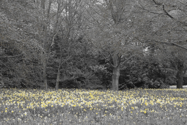 Ascott House and Gardens © essentially-england.com