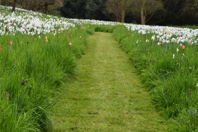 Springtime in the Chinese Dell of Ascott House Garden © essentially-england.com