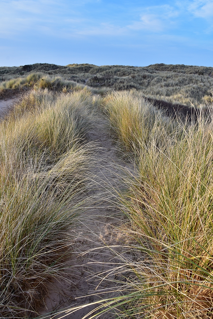 Walking Through the Sand Dunes to Bamburgh Beach