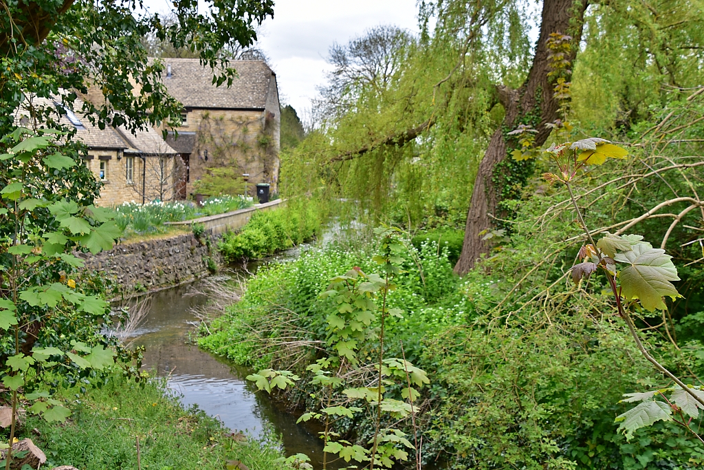 The Shill Brook in Bampton