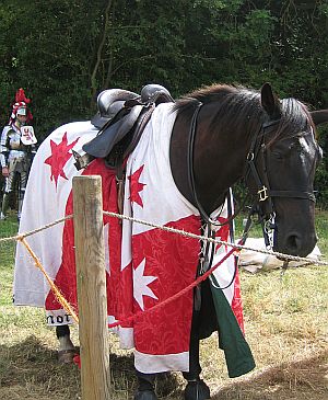 War Horse © essentially-england.com