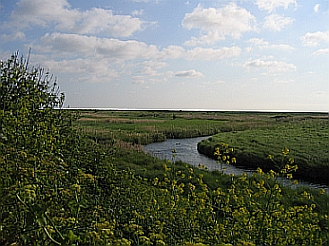 Blakeney Marshes © essentially-england.com