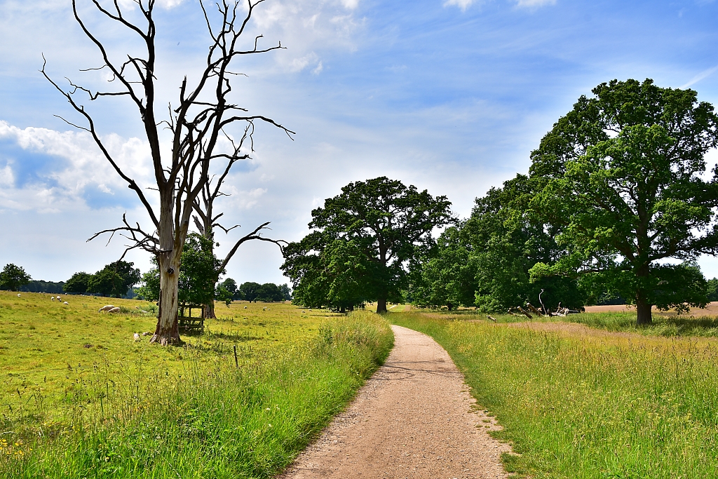 Parkland Scene During The Mausoleum Walk © essentially-england.com