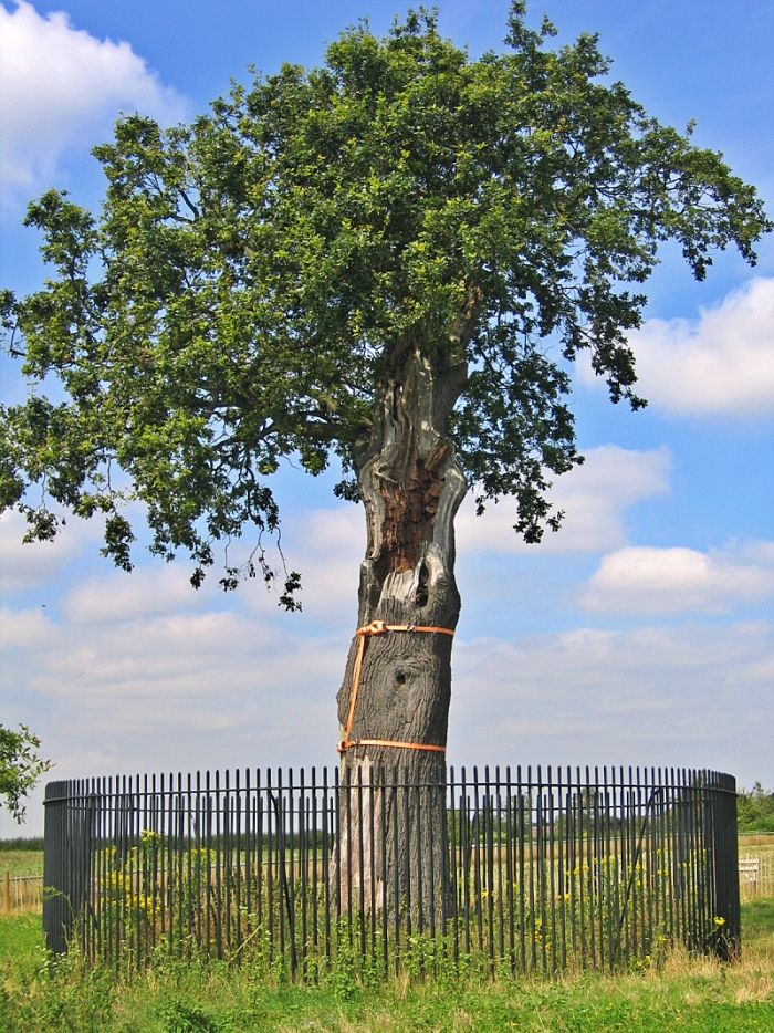 The Royal Oak at Boscobel House