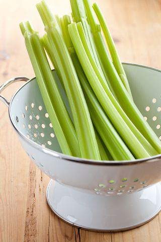 Celery Soup Recipe: celery and stilton soup © jirkaejc | dreamstime.com