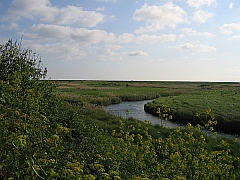 Cley Marshes