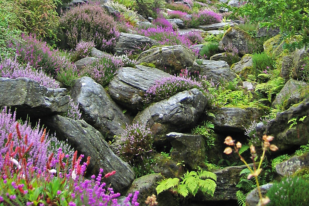 The Rockery in September