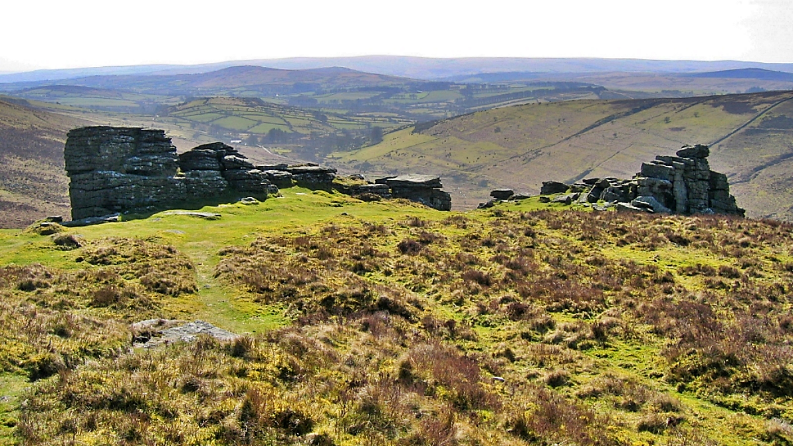 Dartmoor Scene Near Grimspound