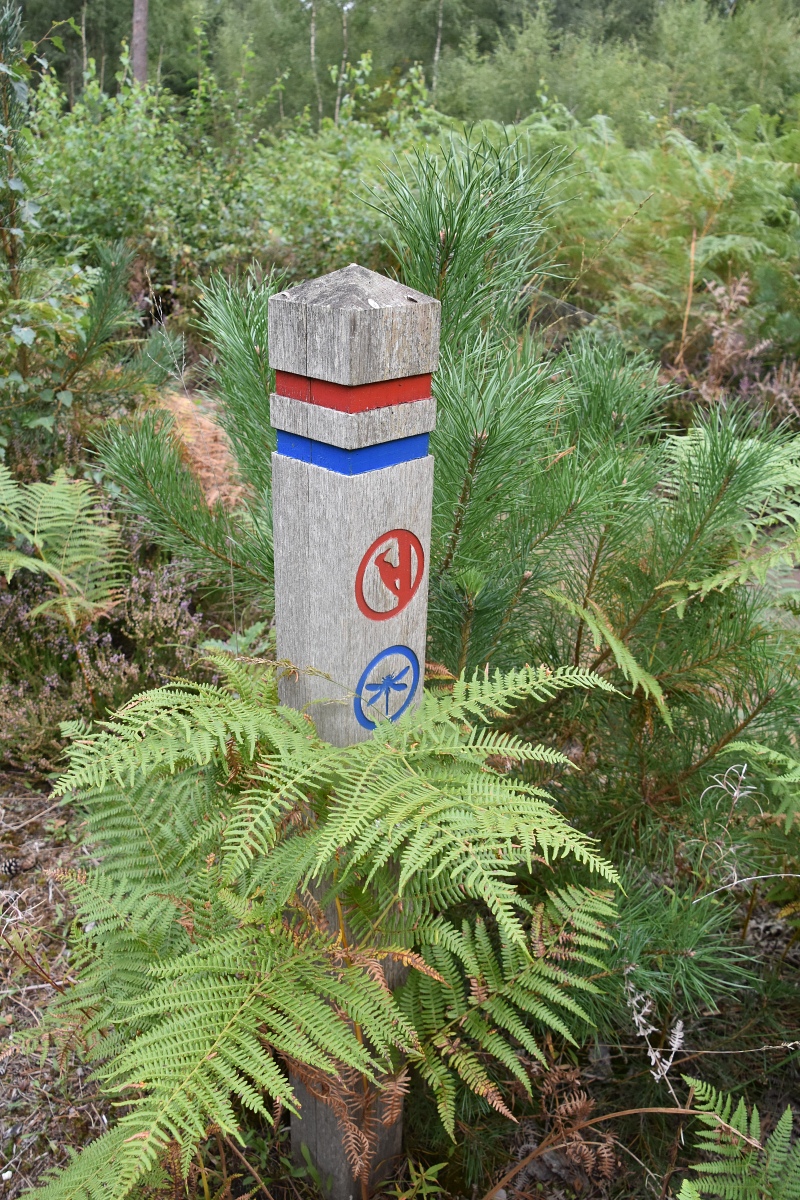 Waymarker Post used to Navigate around Nature Reserve