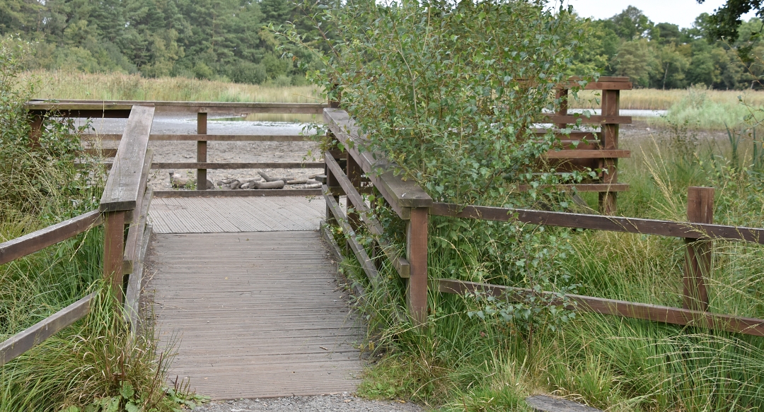 Lakeside Viewing Platform