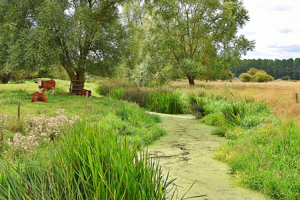 Crossing the Mill Stream © essentially-england.com