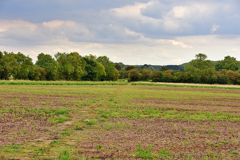 Footpath Across Field Towards Trees © essentially-england.com