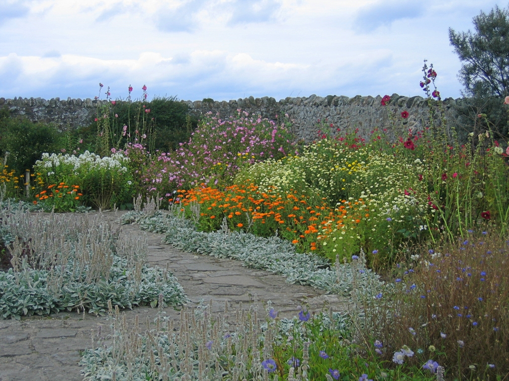 Colourful Flowering Beds in the Gertrude Jekyll Garden