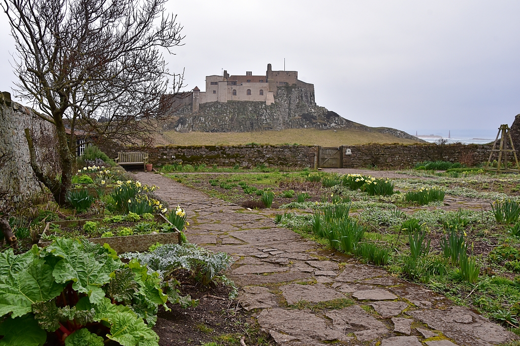 Early March in the Gertrude Jekyll Garden