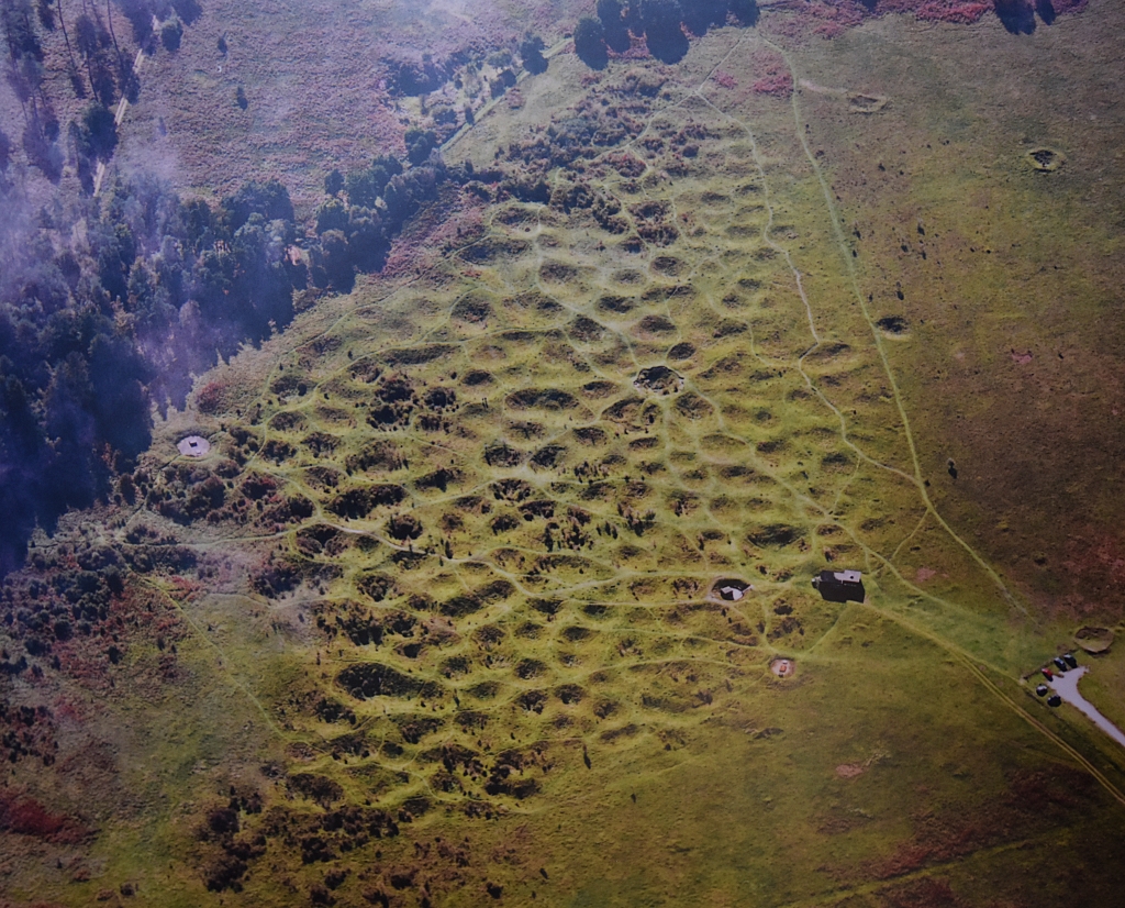 Aerial View of Grime's Graves Site (Photo taken from English Heritage information board)