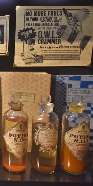 Harry Potter Gifts Photo © essentially-england.com