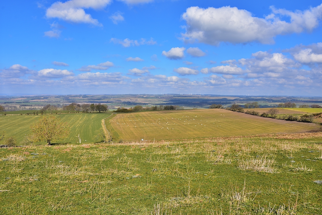 View from St. Oswald's Church at Heavenfield