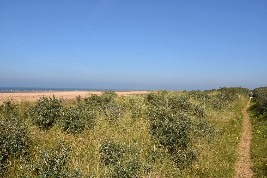 The Norfolk Coast Path Near Old Hunstanton Golf Course