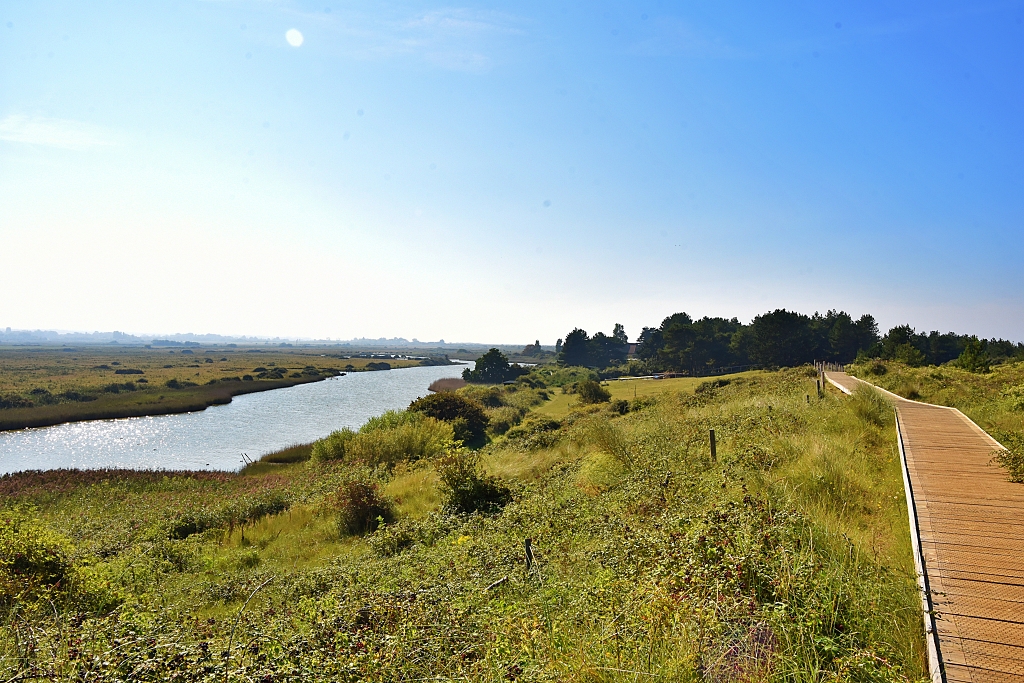 Hulme Bird Observatory near Thornham in Norfolk