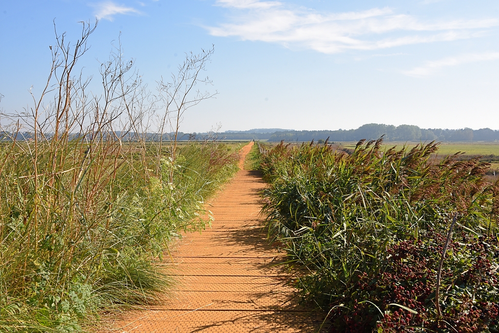 Walking Towards Thornham Old Harbour