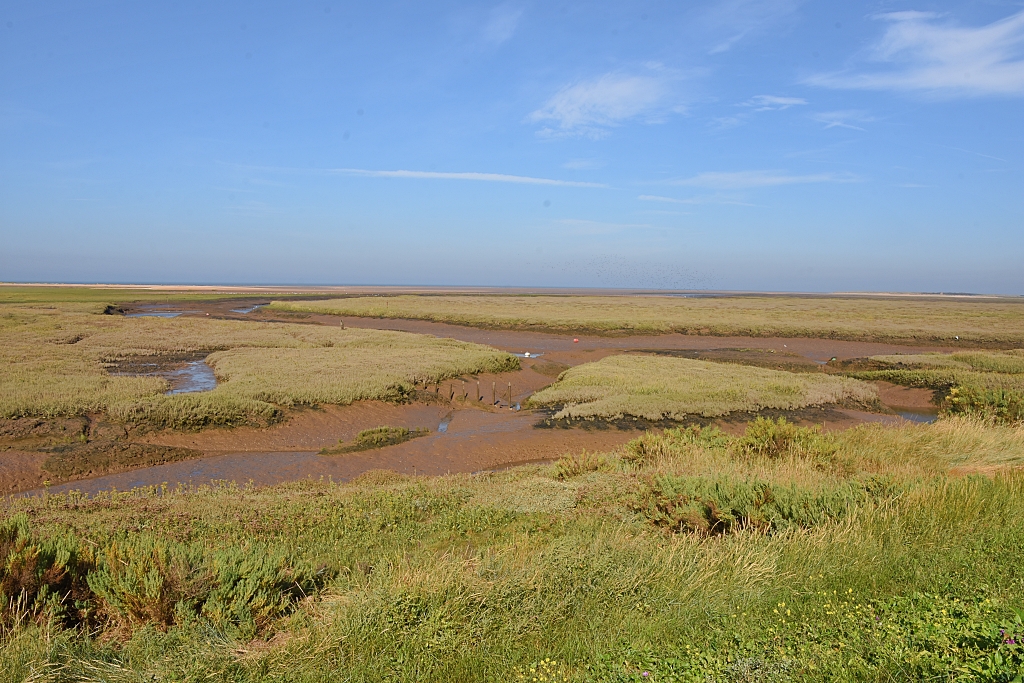Saltmarsh Near The Old Harbour at Thornham © essentially-england.com