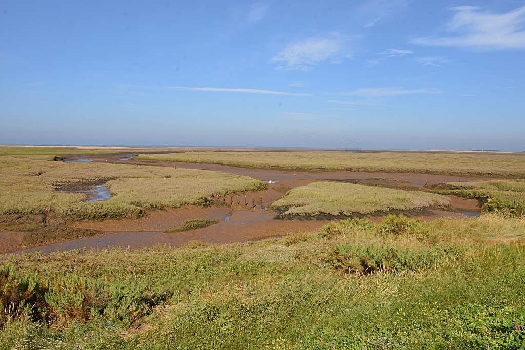 Saltmarsh Near The Old Harbour at Thornham