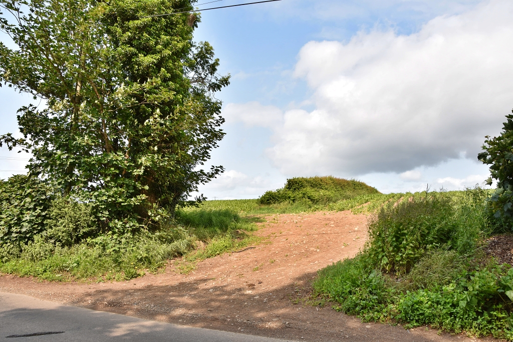 Is This Unasumming Field Entrance King Arthur's Burial Site?