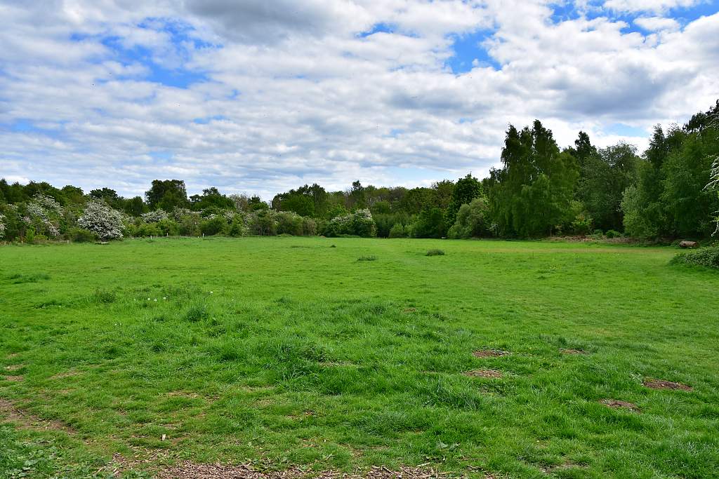 North Leigh Common