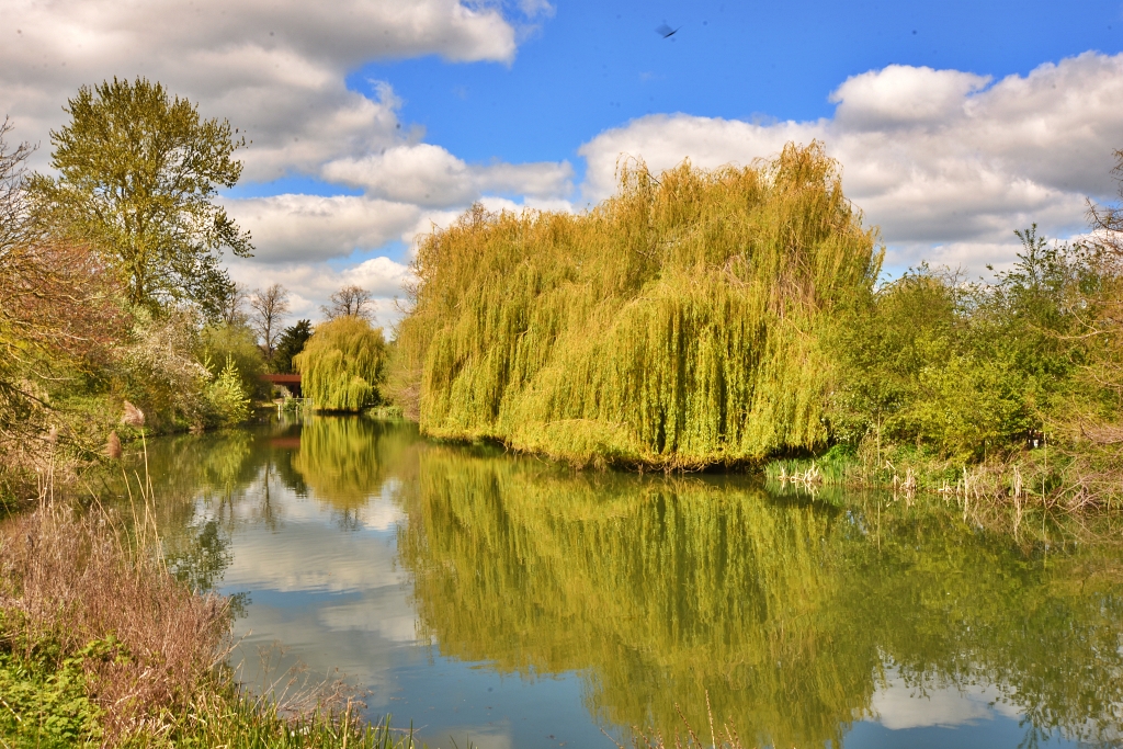 River Nene View © essentially-england.com