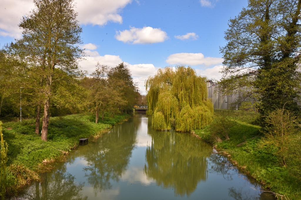 The River Nene Passing Behind the Brewery