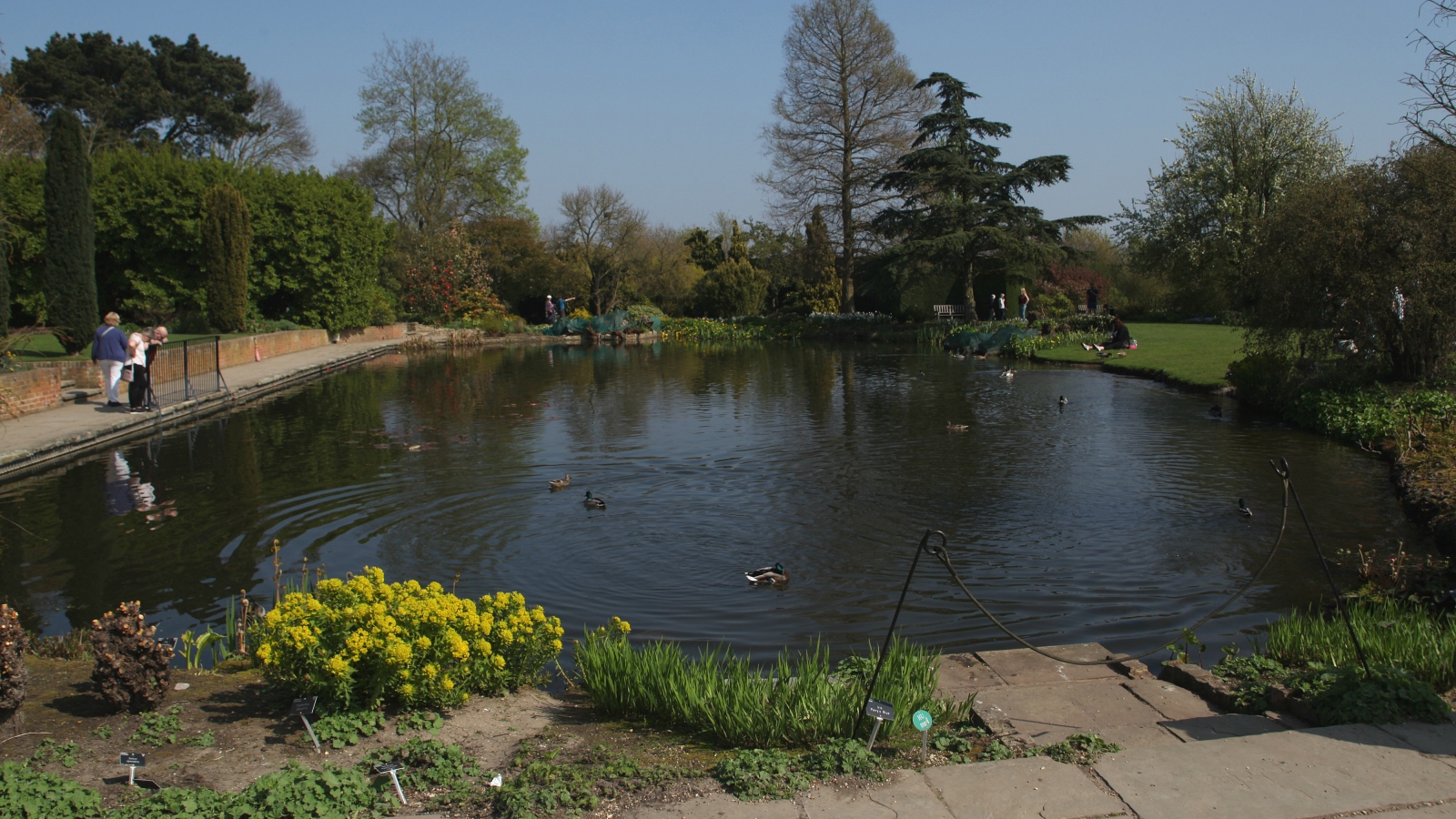 Upper Pond at RHS Hyde Hall Gardens trevorbenbrook@123rf.com
