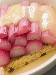 Rhubarb and Custard © Monkeybusiness | Dreamstime.com