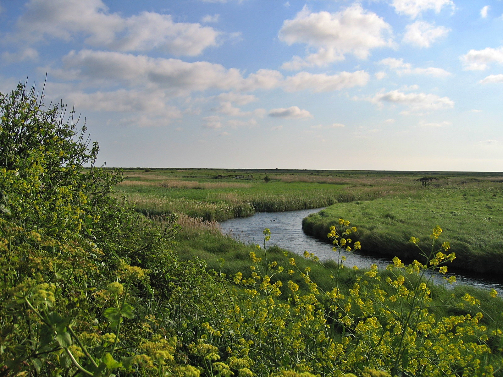 The River Glaven near Cley-next-the-Sea