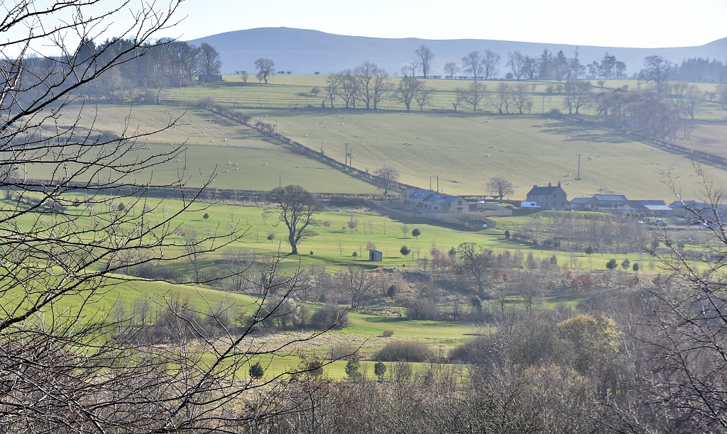 View Towards the Simonside Hills from Rothbury