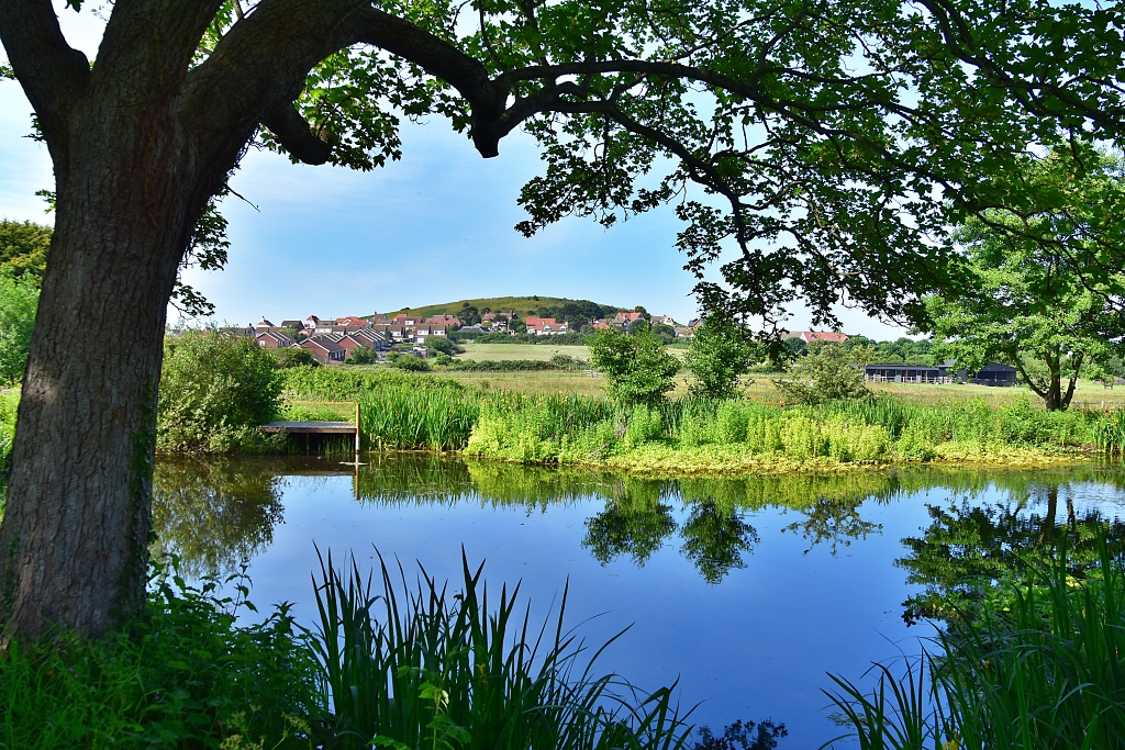 The View From Beeston Regis Priory Towards Beeston Bump