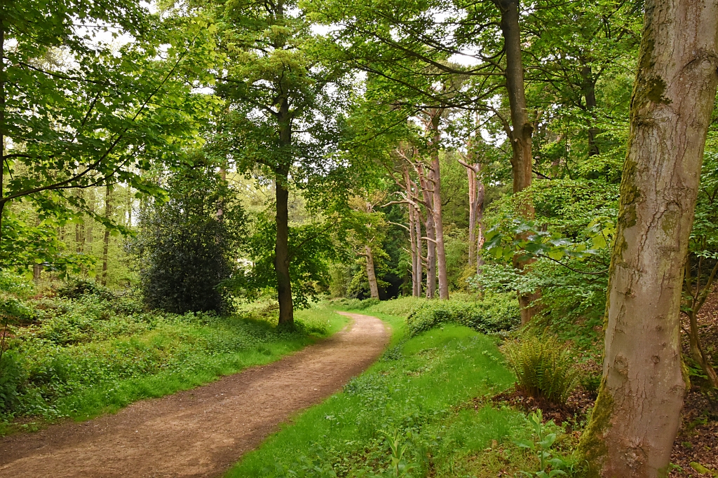 Sheringham Park Woodland Scene © essentially-england.com