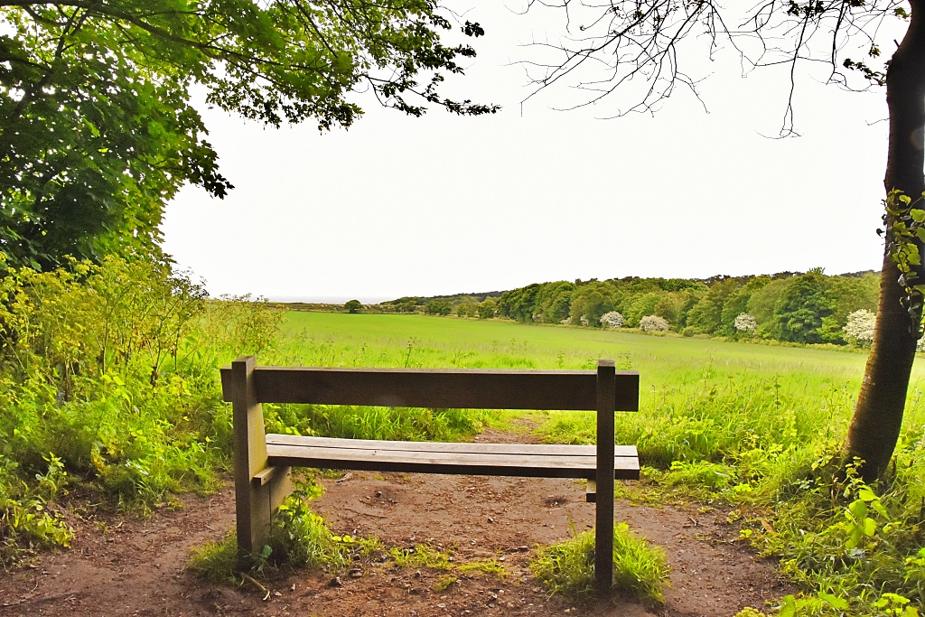 A Bench With a View © essentially-england.com