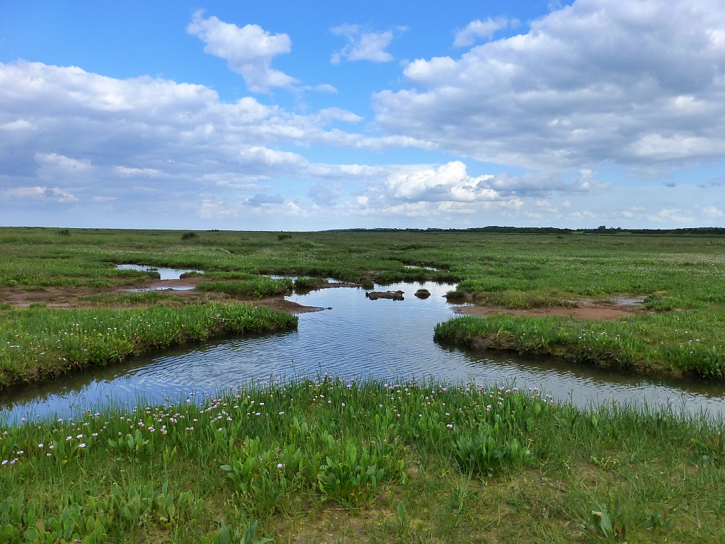 View Across the Saltmarshes