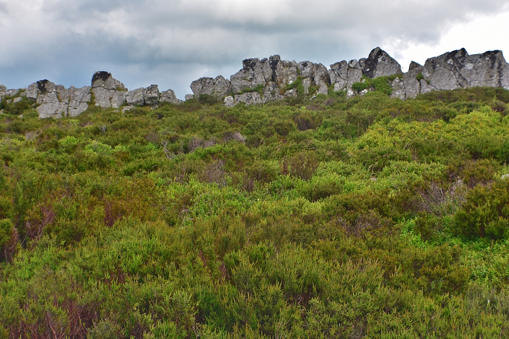 View Up to Stiperstones Ridge