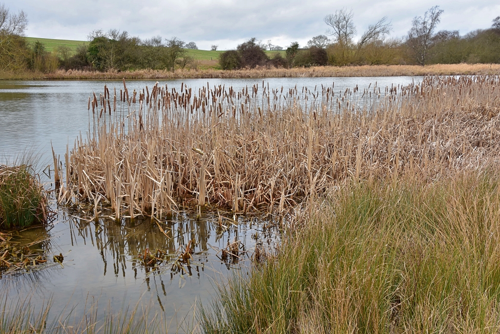 Haymanger Pond on the Stowe Estate © essentially-england.com