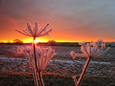 Winter in England: Sunrise over Bicester © Shane Clarke