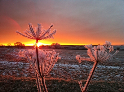 Winter in England: Sunrise over Bicester © Shane Clarke