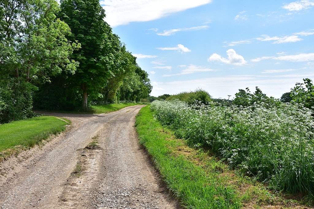 Along Brackley Lane