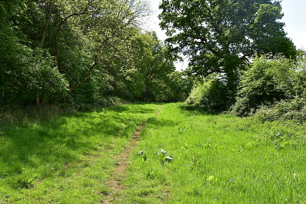 The Green Lane © essentially england.com